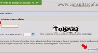Consultar CPF grátis na internet